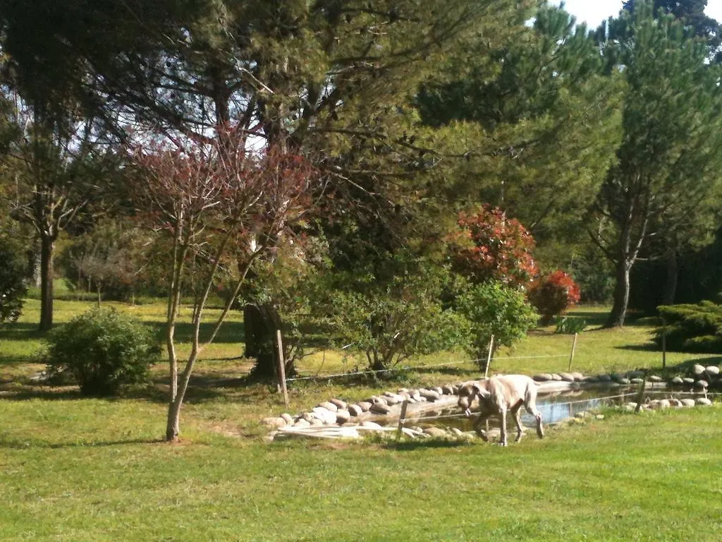 Bed & Breakfast Le Mas d'Hermès Plan-dʼOrgon